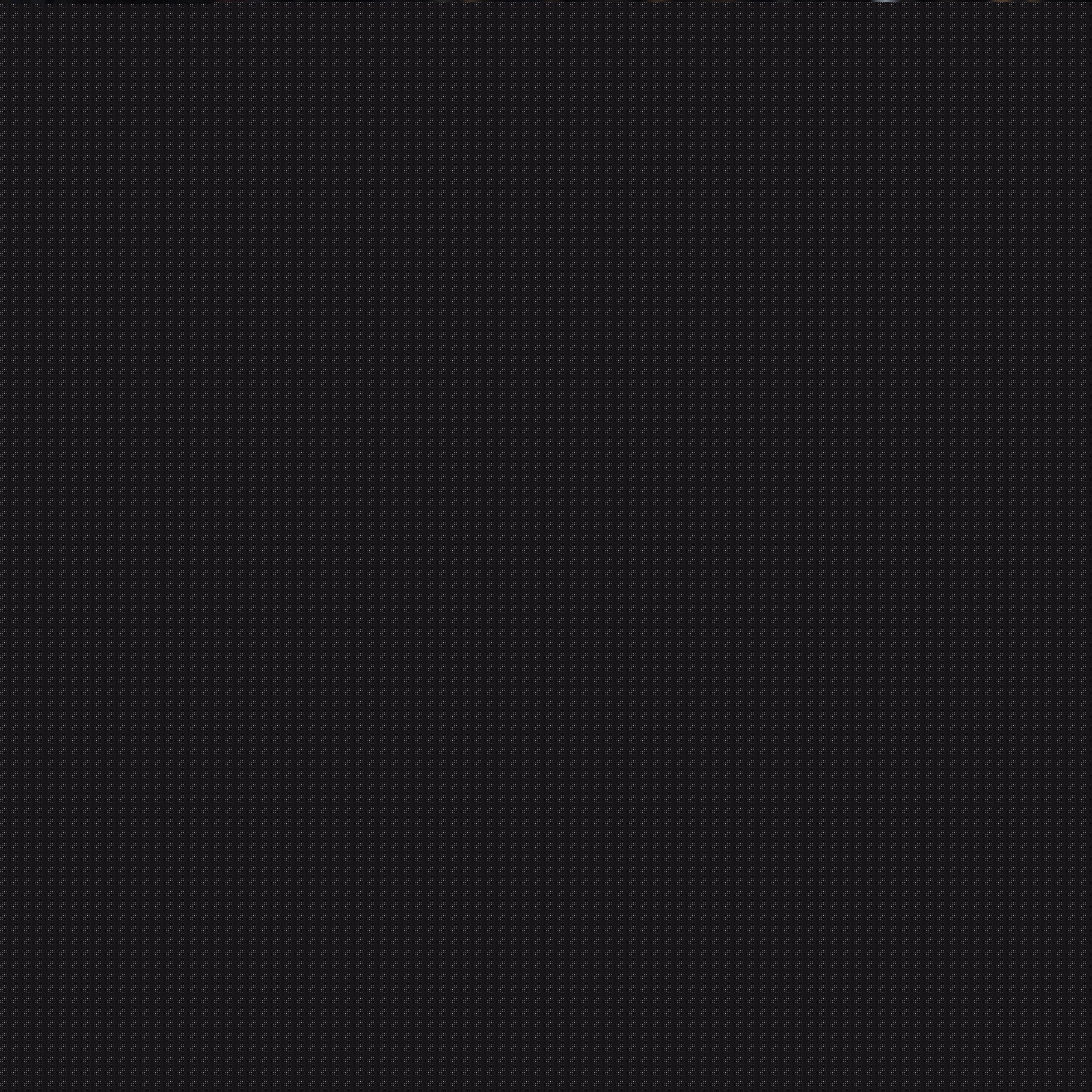 其不仅是艺